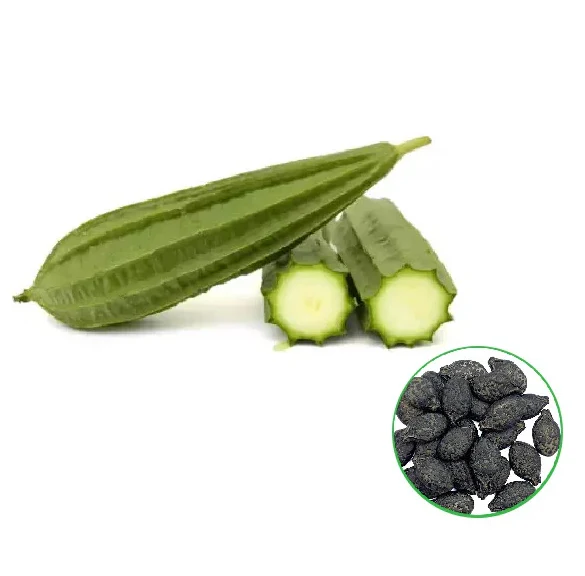 Industrial Drag Chain Scraper System